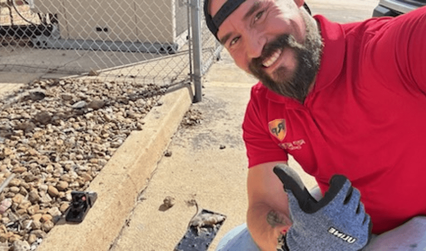 RP Rodent Control & Prevention